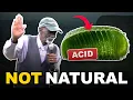 The Truth About Aloe Vera Dr Sebi Tried To Warn You