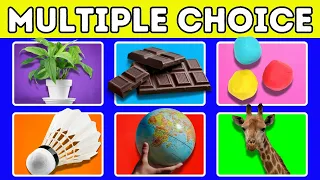 Test Your Knowledge With This Amazing General Knowledge Quiz 