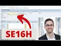 SE16H - Everything you need to know about the SE16H