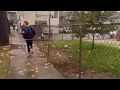 nafla - Hot N*gga Remix MV