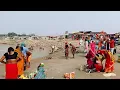 Download Lagu # new video Ganga snan video simriya Ghat - simriya Ghat vlogs video//