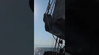 Why Procrastination Might Kill You #sailing #liveyourbestlife