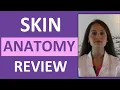 Anatomy Physiology Integumentary Skin System Overview