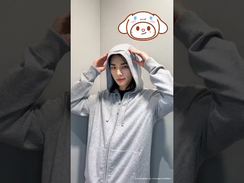 SKZOO x Sanrio
