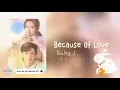 Playlist [(Once We Get Married OST)]
