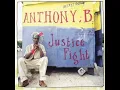 Anthony B  -   Its Over Now   2004