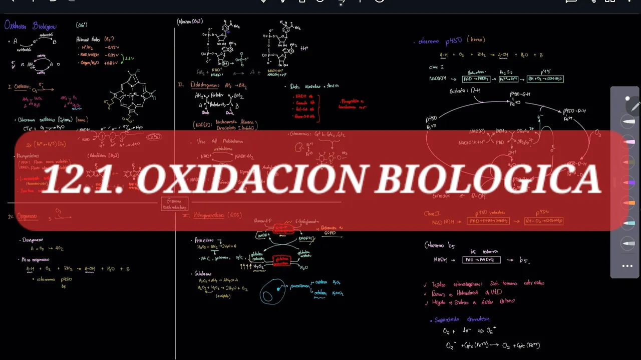 BQ 12 Oxidasas y Deshidrogenasas - Oxidación Biológica - Parte 01