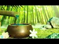 Download Lagu 12 Hours Serene Bamboo Fountain Sounds and Relaxing Music for Stress Relief