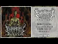 Download Lagu Bunuhdiri - Self Titled (Full EP Stream) [Re-edited]