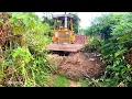 Download Lagu Wonderful New Project EXPAND ROADS CLEARING FOREST By Skill Driver D31P Dozer Pushing FOREST FLOODED