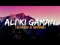 Download Lagu Ali Ki Gaman -[Slowed \u0026 Reverb]