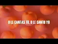 Silvestre Dangond, Carlos Vives - Tú o Yo (Letra)