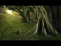 LED Background - Enchanted Forest 29