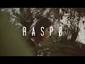 Shawn Mendes - Treat You Better (Raspo \u0026 Tanner Patrick Remix)