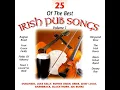 The Irish Rover