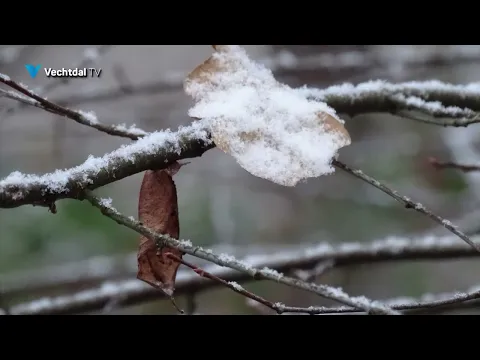 Winterse sfeerbeelden in het Vechtdal