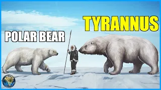The Other (Bigger) Polar Bear