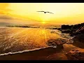Download Lagu Baba Nam Kevalam - True Spirit