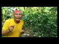Download Lagu JEJAK SI GUNDUL EPISODE MABUK KECUBUNG