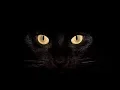 Download Lagu twenty one pilots - Heathens (DISTO Remix)