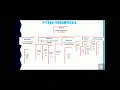 Python Fundamentals