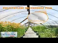 VEVOR Greenhouse Film 20 x 100 ft Greenhouse Polyethylene Film 6 Mil