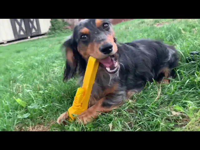 Industrial Dog Nylon Pipe Wrench Chew Dog Toy
