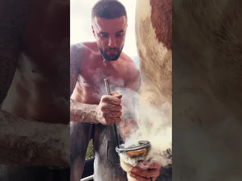 Farrier hot shoeing ! #farrierlife #asmr #satisfyingasmr