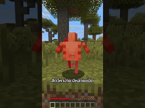 Biome ปลอดภัยสำหรับเอาชีวิตรอดในคืนแรก #minecraft #merrust #พี่หมื่นรัก