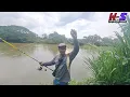 Sementara air surut kita mancing ikan sisik | umpan sawit #wms-387