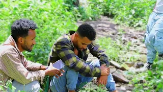 ሰአዳ ወሰነች አወል እራሱን ሊያጠፋ ሲል ተያዘ 