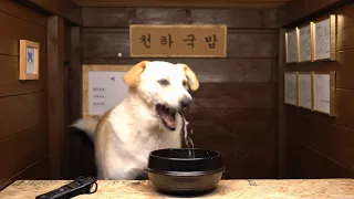 국밥 먹방