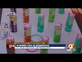Chief Meteorologist Steve Raleigh visits St Pius festival in Edgewood