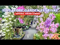 Lagu 🌺 Singapore Garden Festival 2025 | Orchid Paradise for Flower Lovers in Singapore | SGF 2025🇸🇬😍👍