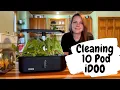 Cleaning The 10 Pod iDoo Hydroponics System Lettuce 4 Week Update EverCrest