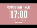 17 MINUTE COUNTDOWN TIMER WITH SOFT ALARMS