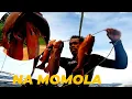 Download Lagu Vlog #589 Nagka bohul2 #Philippines#spearfishing
