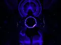 Download Lagu 🎧/// MONTAGEM XONADA ///🔥