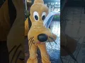 Download Lagu #waltdisneyworld #disney #mickeyandfriends #pluto #disney #disneycharacter