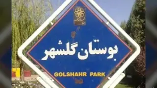 محمود تقی زاده صیاد 