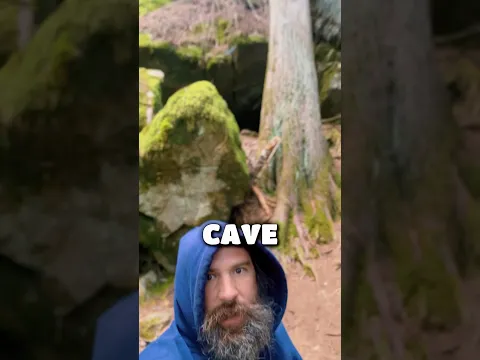Did YOU Think it was a Green Screen?📺🤷‍♂️📺 #greenscreen #nature #idaho #pnw #beard #naturelovers