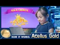The Secret Behind Acellus Gold Why Learning Has Value