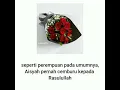 Download Lagu Kisah cinta nabi Muhamad dan Aisyah istri tercinta beliau