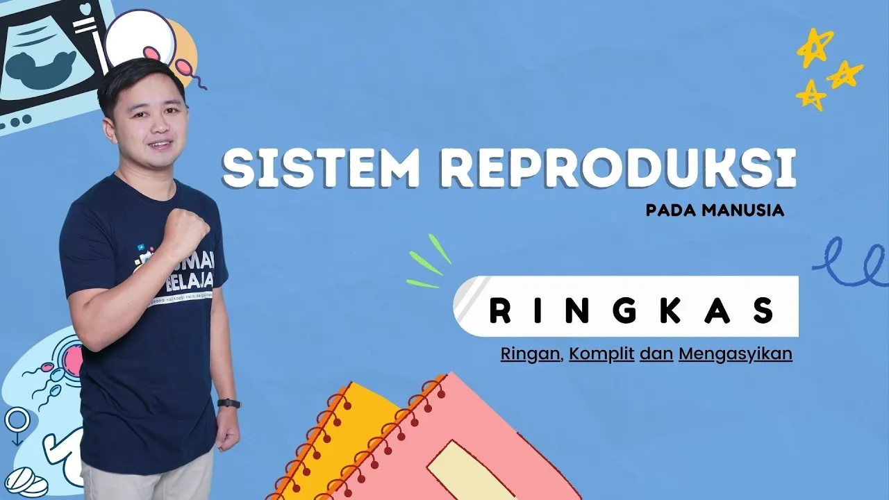 SISTEM REPRODUKSI PADA MANUSIA | RINGKAS