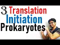 Translation initiation Translation in prokaryotes lecture 3