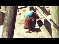 Hanging Out With Orangutans Zoo Tampa
