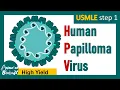 Human Papilloma Virus HPV infection HPV diagnosis and treatment