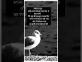 Download Lagu किसी ने पूछा कोई अपना छोड़ कर चला जाए best quotes #motivational #apna #jawab #success #samaj #shorts