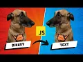 Create a Binary to Text Converter