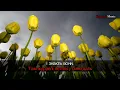 The Hardkiss - Журавлi Karaoke
